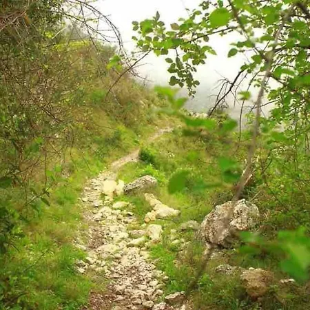 度假居 “ca Robert” *