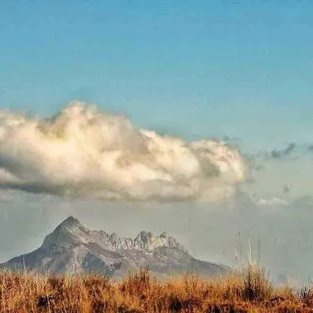 “ca Robert” 度假居