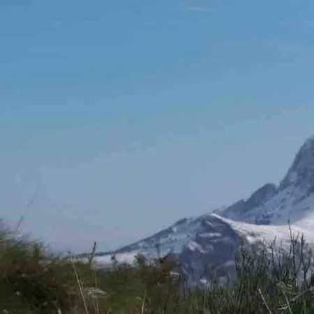 “ca Robert” Feriehus Callosa de Ensarriá