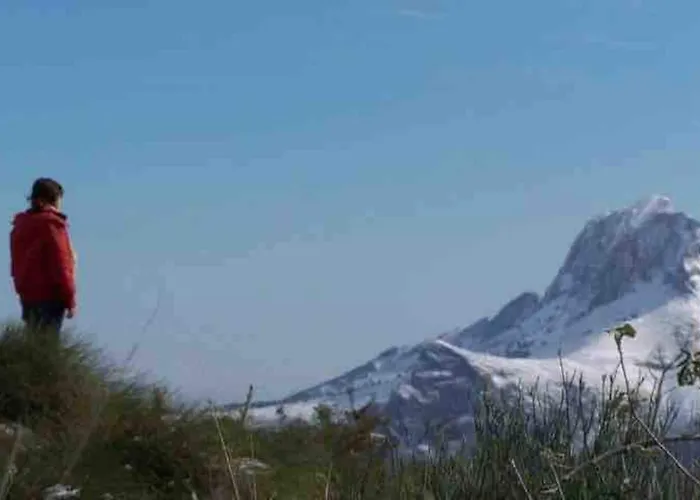 “ca Robert” Semesterbostad Callosa de Ensarriá